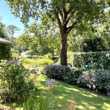 Bed and breakfast Haritzaga D'hôte Terrasse&jardin Privé 4*