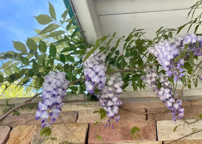 Bed & Breakfast Haritzaga D'hote Terrasse & Jardin Prive Biarritz