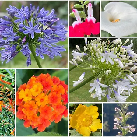 Haritzaga D'hote Terrasse & Jardin Prive Frühstückspension 4*