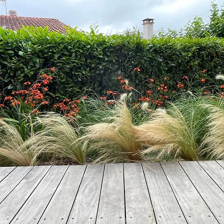 Bed & Breakfast Haritzaga D'hote Terrasse & Jardin Prive Biarritz