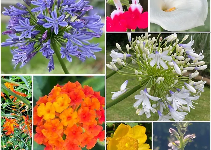 Haritzaga D'hote Terrasse & Jardin Prive Bed & Breakfast 4*