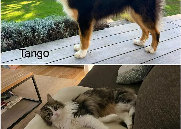 Haritzaga D'hote Terrasse & Jardin Prive Biarritz